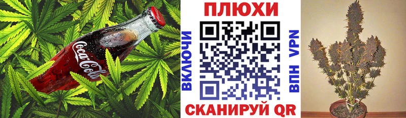 Canna-Cookies марихуана Оленегорск
