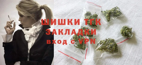 твердый Надым