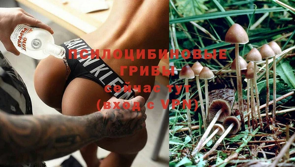 бутик Аркадак
